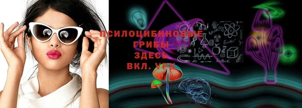 мет Алексин